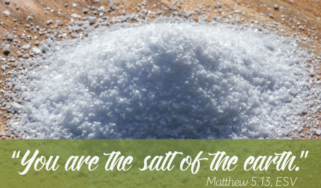 You are the salt of the earth. Matthew 5:13