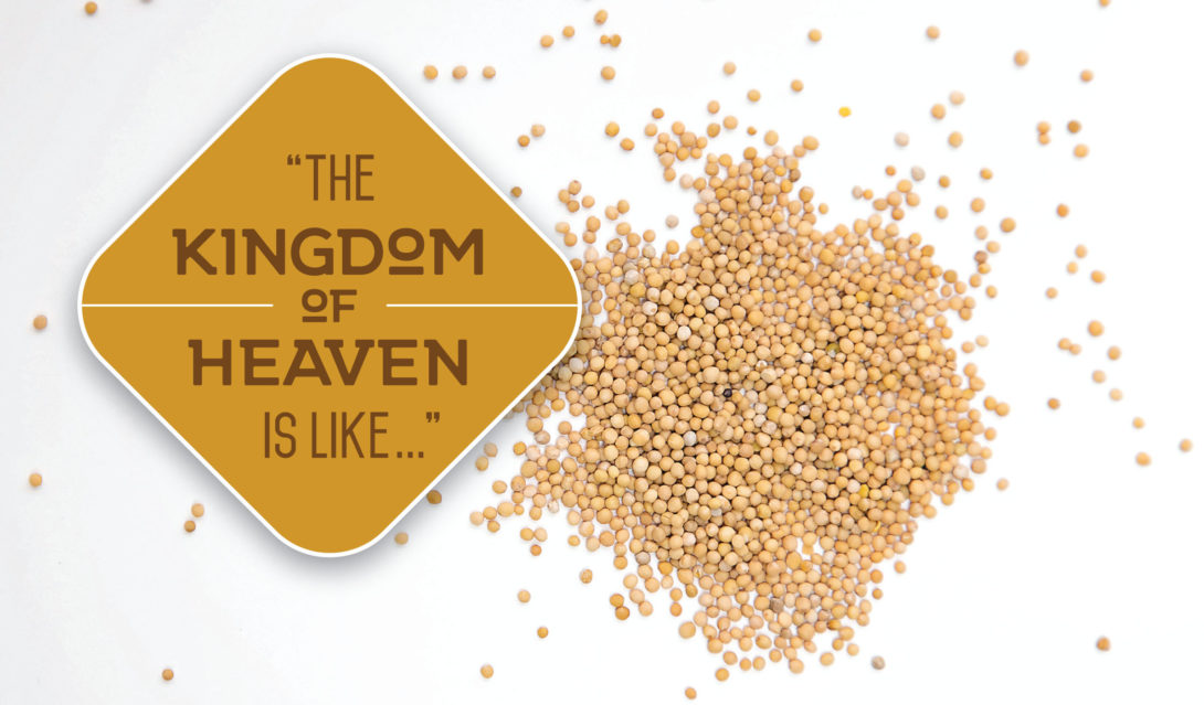 The Kingdom of Heaven is Like... (image of seeds)