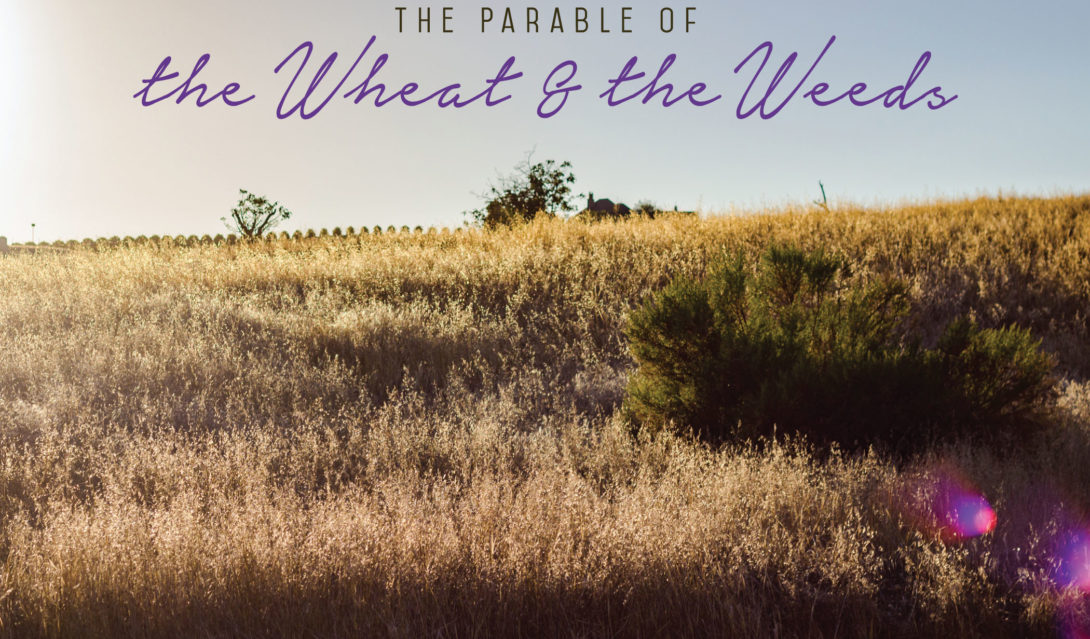 The parable of the wheat & the weeds