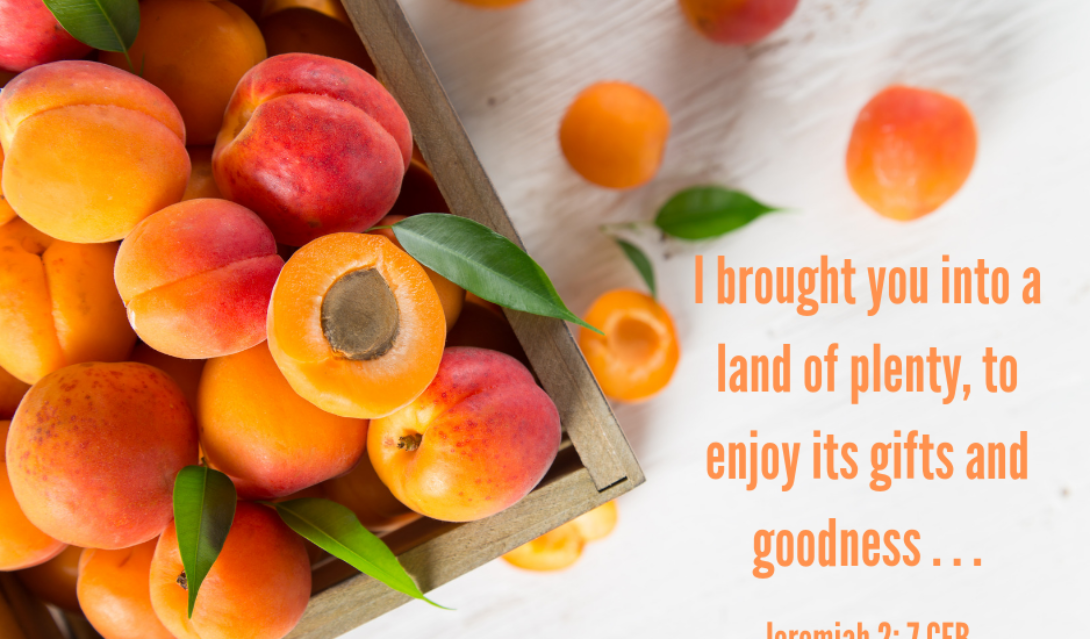 I brought you into a land of plenty, to enjoy its gifts and goodness... -Jeremiah 2:7 CEB